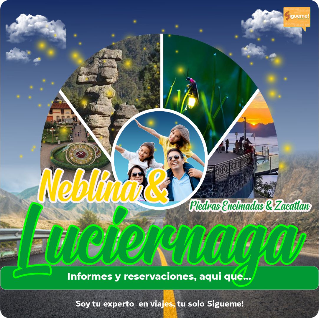 WhatsApp-Image-2024-10-29-at-14.27.11-1.jpeg WhatsApp-Image-2024-10-29-at-14.27.11-1.jpeg