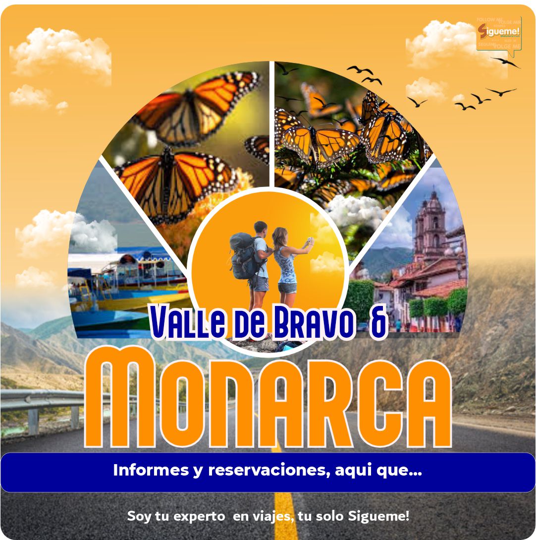 WhatsApp-Image-2024-10-29-at-16.55.38.jpeg WhatsApp-Image-2024-10-29-at-16.55.38.jpeg