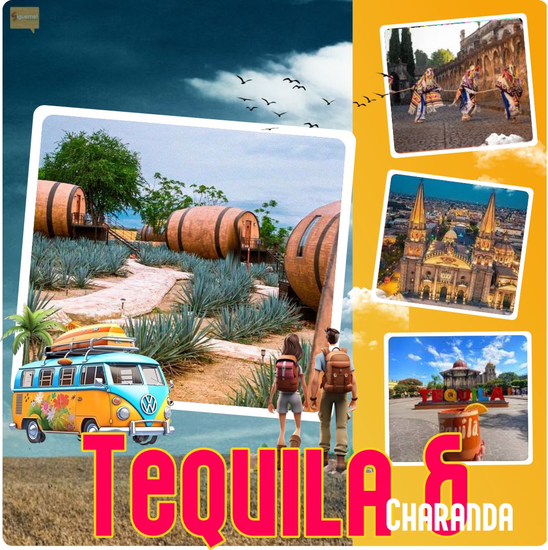 WhatsApp-Image-2024-10-31-at-12.43.48-5.jpeg WhatsApp-Image-2024-10-31-at-12.43.48-5.jpeg