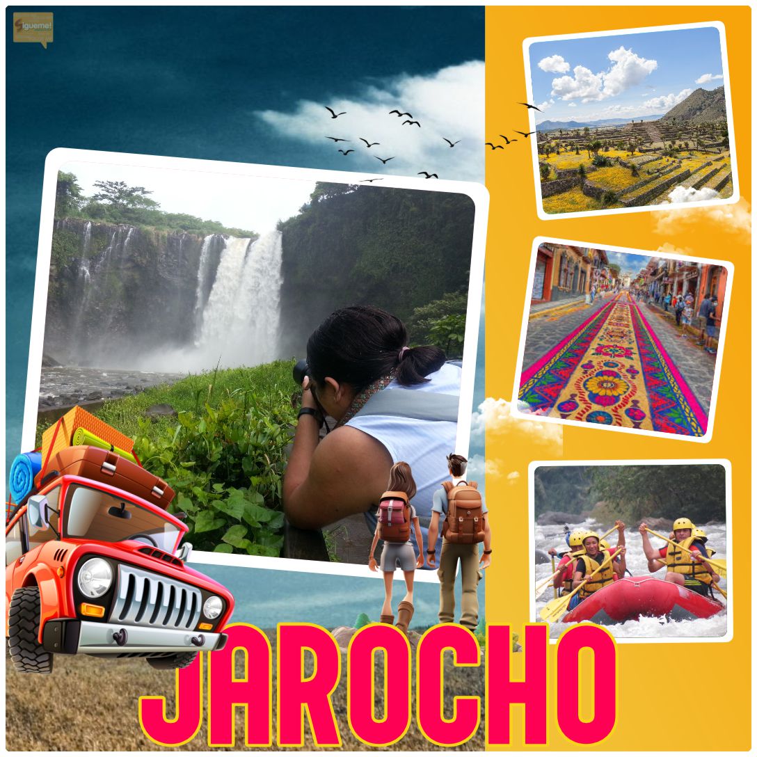 WhatsApp-Image-2024-11-02-at-15.38.45-2-1.jpeg WhatsApp-Image-2024-11-02-at-15.38.45-2-1.jpeg