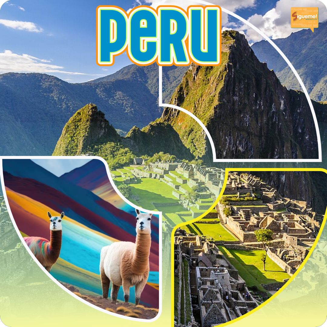 WhatsApp Image 2025-01-20 at 4.22.44 PM WhatsApp Image 2025-01-20 at 4.22.44 PM