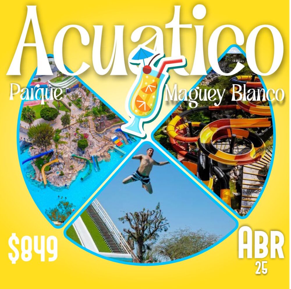 D Maguey Blanco  Abril 25